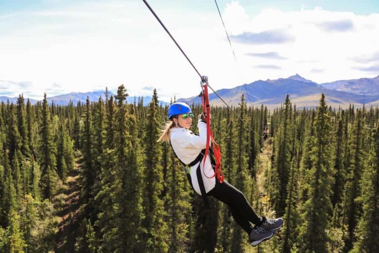 Denali Park Zipline Adventure - Who Should Consider This Tour?