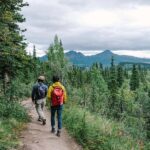 Denali: Rock Creek Trail Guided Evening Hike with Pickup - An In-Depth Look at the Denali Rock Creek Trail Guided Evening Hike