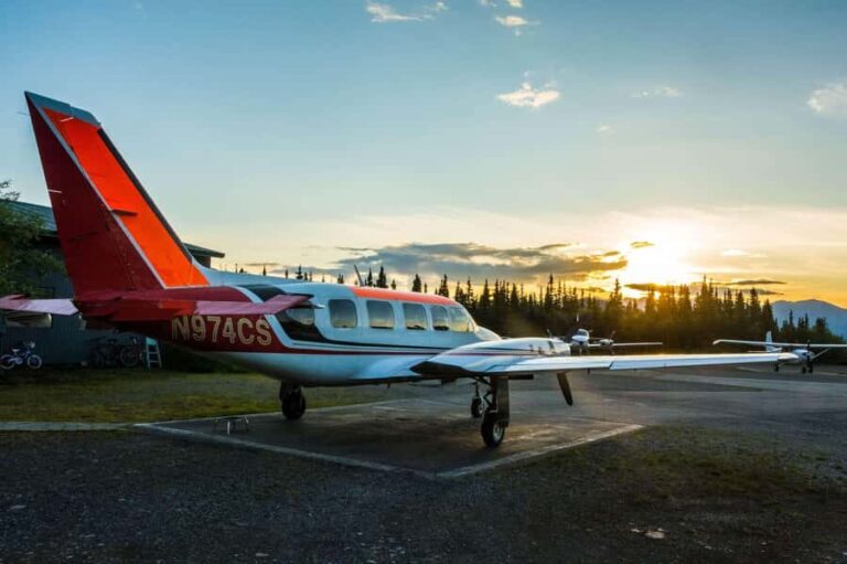 Denali: Scenic Flightseeing Tour Over Denali National Park - Who Will Love This Experience?