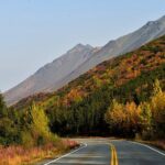 Denali to Anchorage  Scenic Private Shuttle Transfer - Why Choose This Transfer?
