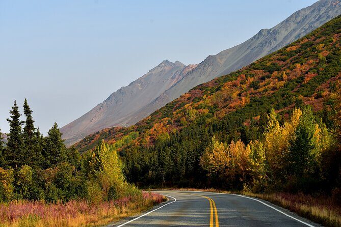 Denali to Anchorage  Scenic Private Shuttle Transfer - Why Choose This Transfer?