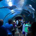 Denver: Downtown Aquarium All-Day Pass - In-Depth Review: What to Expect at Denver’s Downtown Aquarium