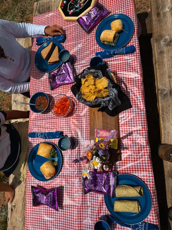 Denver: Llama Lunch in the Rocky Mountains - Practical Details and Tips for Your Visit