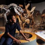 Denver: Museum of Nature and Science Entry Ticket - A Closer Look at What You Can Expect