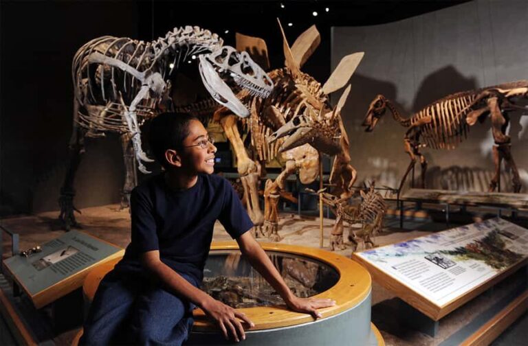 Denver: Museum of Nature and Science Entry Ticket - A Closer Look at What You Can Expect