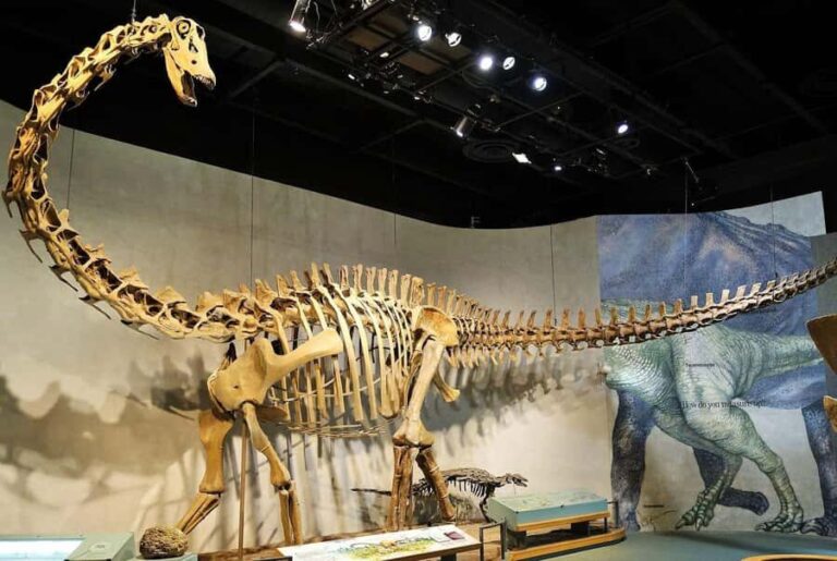 Denver: Museum of Nature and Science Ticket & Digital Tour - An In-Depth Look at the Experience