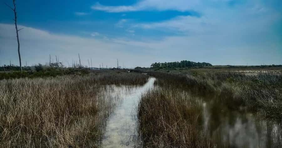 Destin: Clear Kayak Eco Tour with Island Stops - FAQ