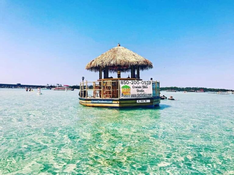 Destin: Snorkeling Safari - The Sum Up: Who Should Sign Up?