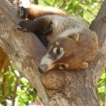 Discover Barra de Potosí - What Makes This Tour Stand Out