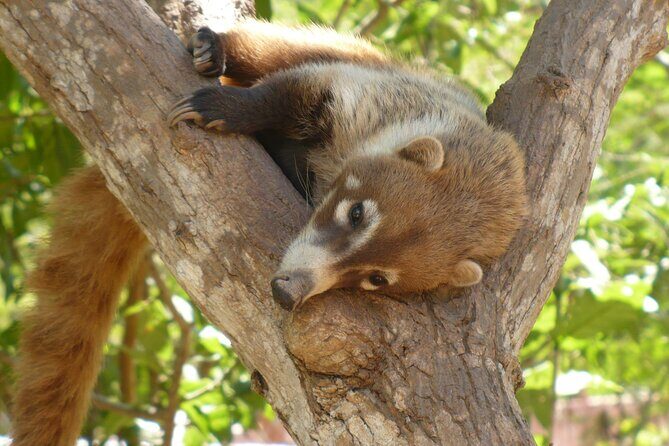 Discover Barra de Potosí - What Makes This Tour Stand Out