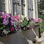 Discover Charleston's History Tour - What Travelers Have Said