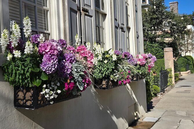Discover Charleston's History Tour - What Travelers Have Said