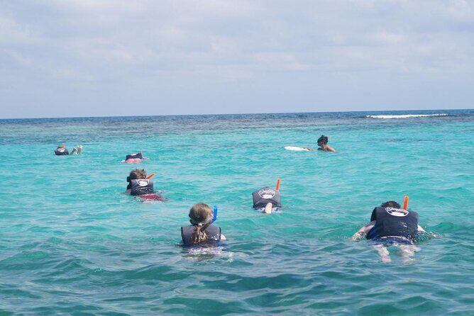 Discover El Cielo and Cozumel Snorkeling Adventure - What Travelers Say: Authentic Perspectives