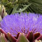 Discover Hidden Stairways & Canyon Paths: Private Urban Adventure - FAQs