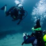Discover Scuba Diving - Why This Tour Offers Good Value