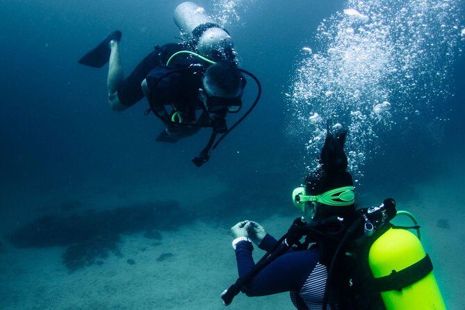 Discover Scuba Diving - Why This Tour Offers Good Value