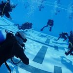 Discover Scuba Diving - Why It Offers Great Value