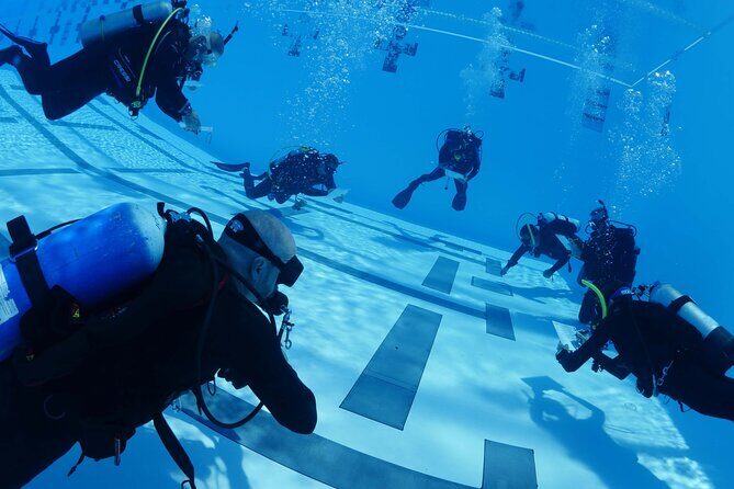 Discover Scuba Diving - Why It Offers Great Value