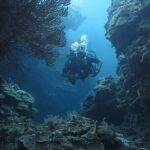 Discover Scuba Diving From Boat - An In-Depth Look at the Discover Scuba Diving Tour in Cozumel