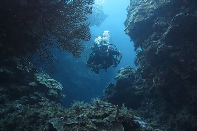 Discover Scuba Diving From Boat - An In-Depth Look at the Discover Scuba Diving Tour in Cozumel