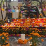 Discover the Historic Center of Guadalajara in a Private Tour - Value and Practical Considerations