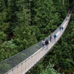 Discover Vancouver A Guided Tour - The Practical Side: What to Expect