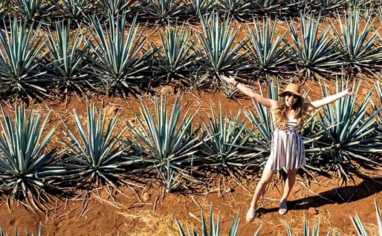 Distillery Entry Tickets and Tastings in Tequila Jalisco - An In-Depth Look at the Tequila Experience