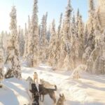 Dog Sledding & Animal Adventures  Anchorage Pickup - Why This Tour Offers Great Value