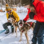 Dogsledding Upper Laurentians near Mont-Tremblant - What to Expect from Your Dogsledding Adventure