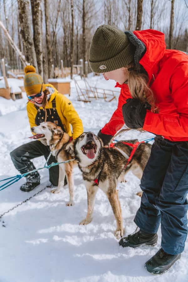 Dogsledding Upper Laurentians near Mont-Tremblant - What to Expect from Your Dogsledding Adventure