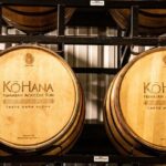 Dole Pineapple Plantation and Ko Hana Rum Afternoon Tour - Final Thoughts: Who Is This Tour Best For?