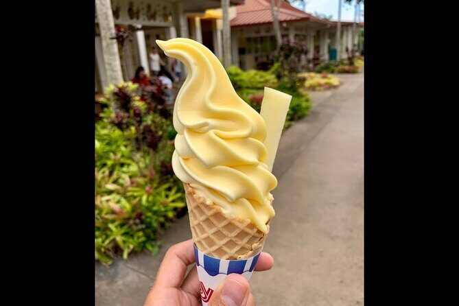 Dole Plantation, Ko Hana Rum and 3 Zipline Adventure Tour - Transport, Timing, and Group Dynamics