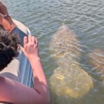 Dolphin and Manatee Boat Tour from Cocoa Beach and Port Canaveral - Analyzing the Value: Is It Worth It?