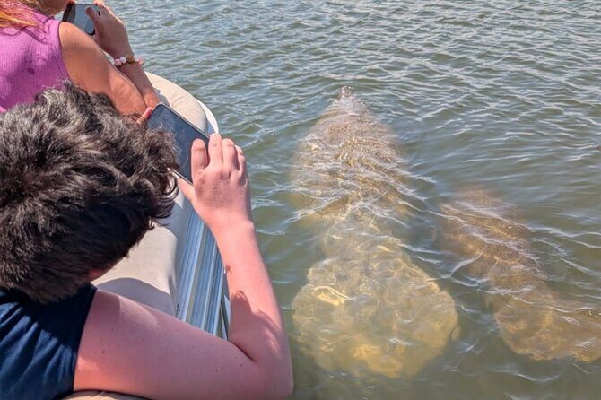 Dolphin and Manatee Boat Tour from Cocoa Beach and Port Canaveral - Analyzing the Value: Is It Worth It?