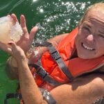 Dolphin Sightseeing and Shell Island Snorkel Tour - Exploring the Details: What to Expect from the Tour