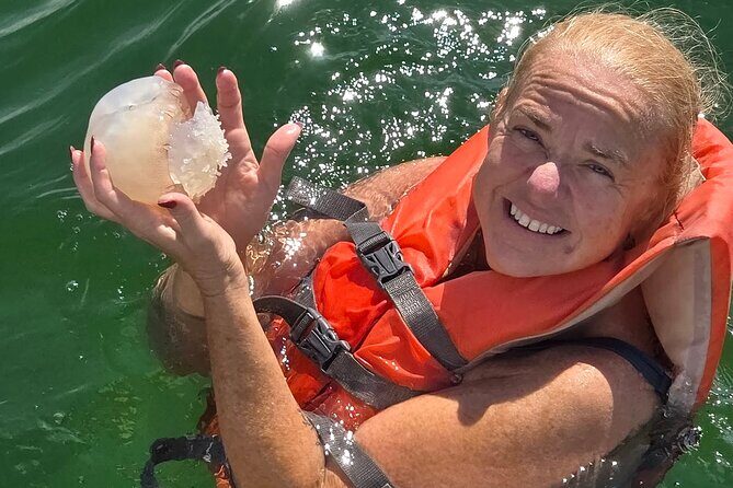 Dolphin Sightseeing and Shell Island Snorkel Tour - Exploring the Details: What to Expect from the Tour