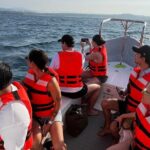 Dolphin Watching and Marine Life on the Coast of Oaxaca - Who Should Consider This Tour?