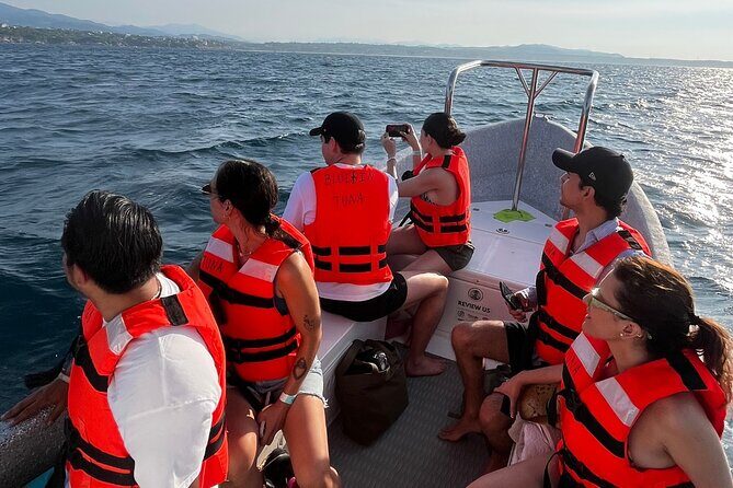 Dolphin Watching and Marine Life on the Coast of Oaxaca - Who Should Consider This Tour?