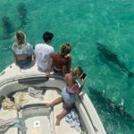 Dolphin Watching and Snorkeling Key West - An Honest Dive into the Experience