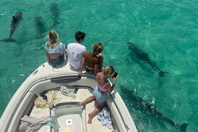 Dolphin Watching and Snorkeling Key West - An Honest Dive into the Experience