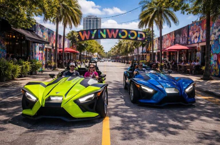 Dont Miss Out  4-Hour Slingshot Experience - An In-Depth Look at the Miami Polaris Slingshot Experience