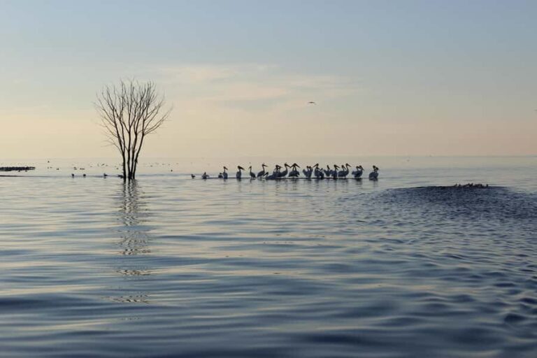 Door County: West Islands & Eagle Bluff Lighthouse Cruise - Value and Practical Tips