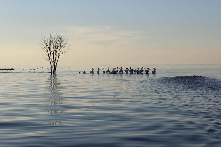 Door County: West Islands & Eagle Bluff Lighthouse Cruise - Value and Practical Tips