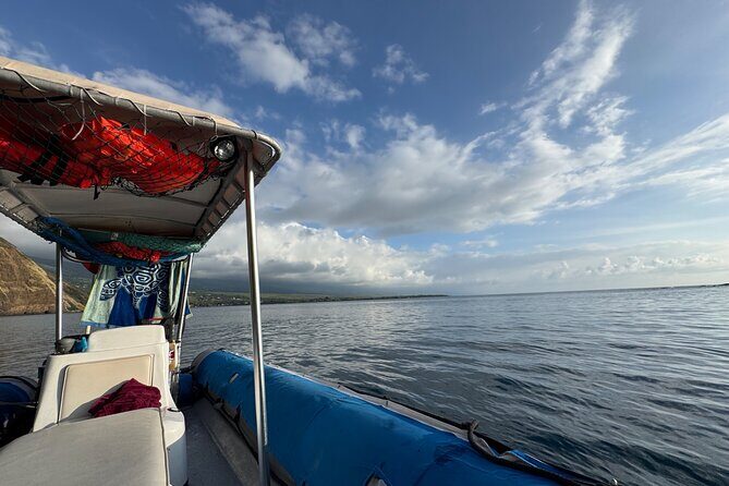 Double Reef Snorkel and Dolphin Watch in Kona - Who Should Book This Tour?