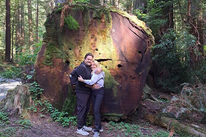 E-Bike Tour in the Avenue of the Giants Redwood Forests - 4 Hours - The Sum Up: Who Should Consider This Tour?