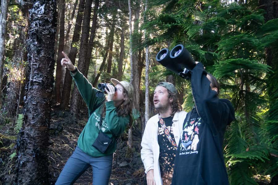 Early Bird Guided Birding Tour - Kailua-Kona, HI - Who Will Appreciate This Tour?