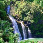 East Maui: Private Rainforest Tour or Road to Hana Loop Tour - An In-Depth Look at Maui’s East Rainforest & Hana Loop Tour