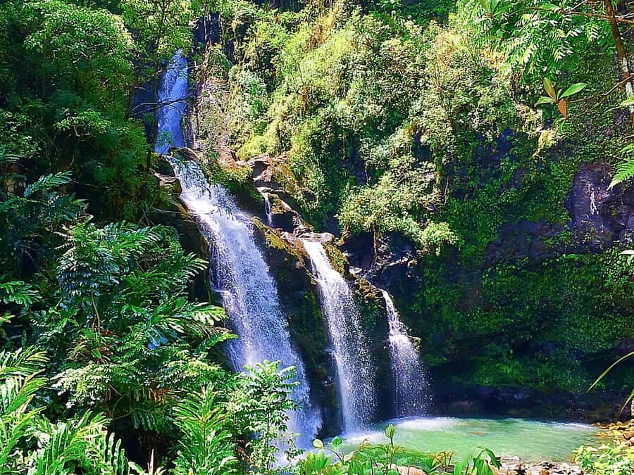 East Maui: Private Rainforest Tour or Road to Hana Loop Tour - An In-Depth Look at Maui’s East Rainforest & Hana Loop Tour