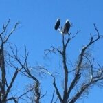 Effortlessly E Bike the Verde Valley Riparian Habitat - Practical Details That Matter