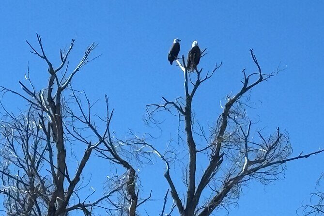 Effortlessly E Bike the Verde Valley Riparian Habitat - Practical Details That Matter